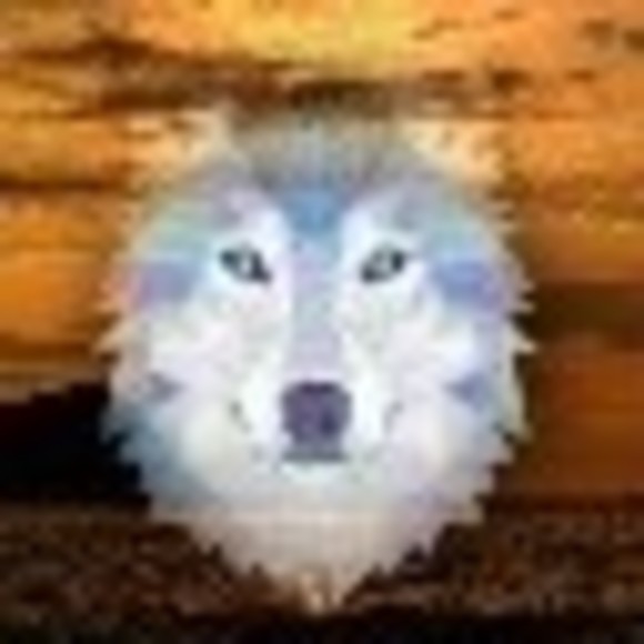 Meet your Posher, Nancy - Picture 1 of 1